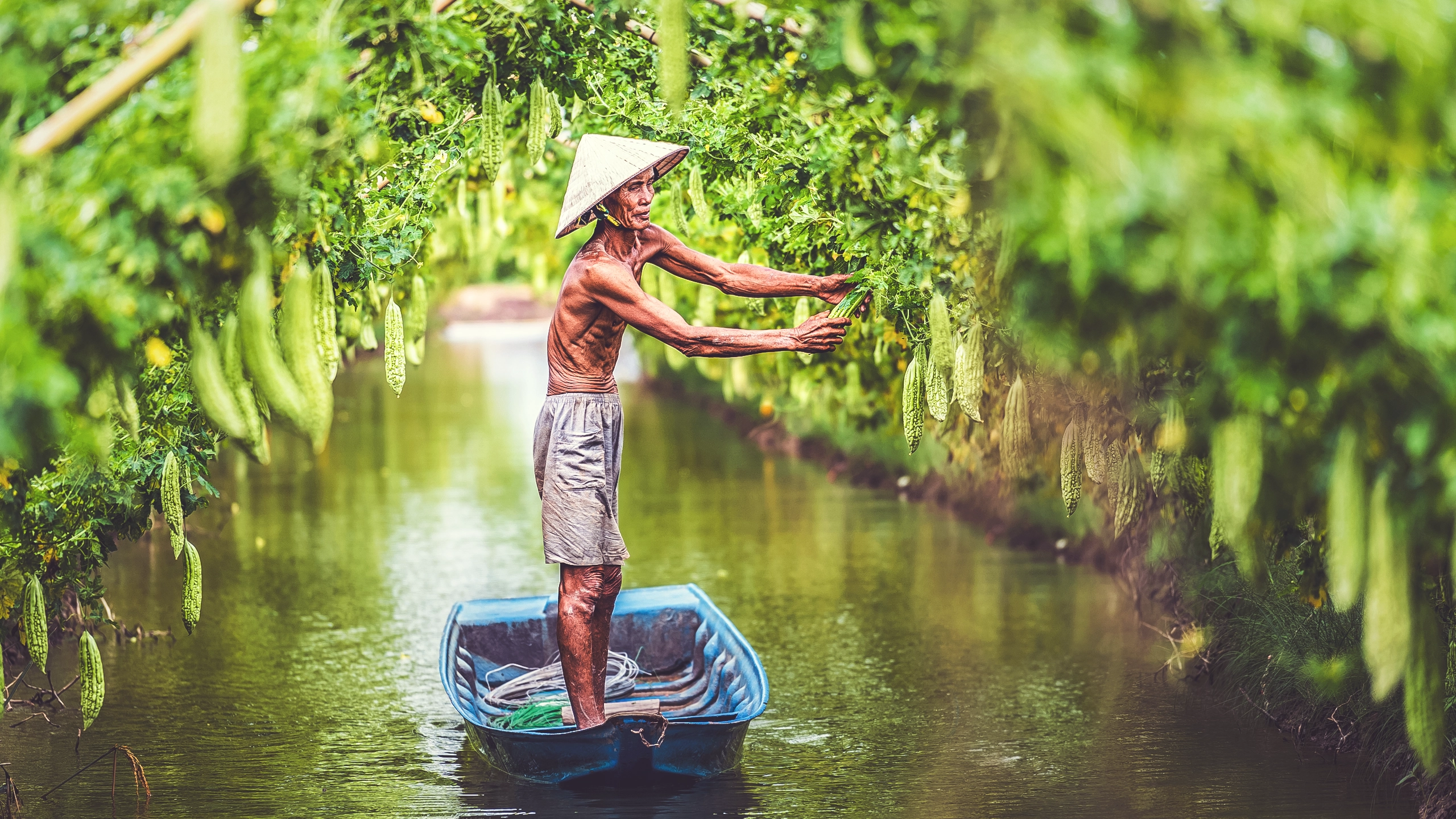 Hanoi erwacht: Frau schiebt ein Fahrrad beladen mit Köstlichkeiten