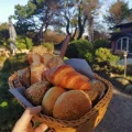 Kupferkanne • Sylt