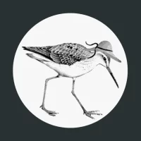 Restaurant Zum Strandläufer Restaurant Zum Strandläufer