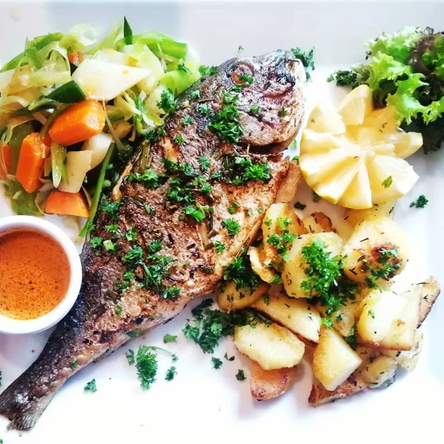 Fisch Pauli