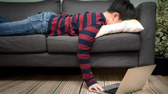 TikTok. Insta. Tot. - Curiosity is already dead.