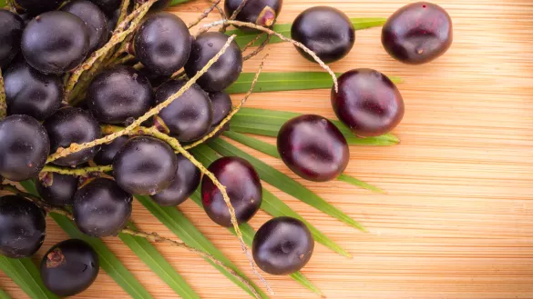 Acai: Die brasilianische Power-Beere im Faktencheck